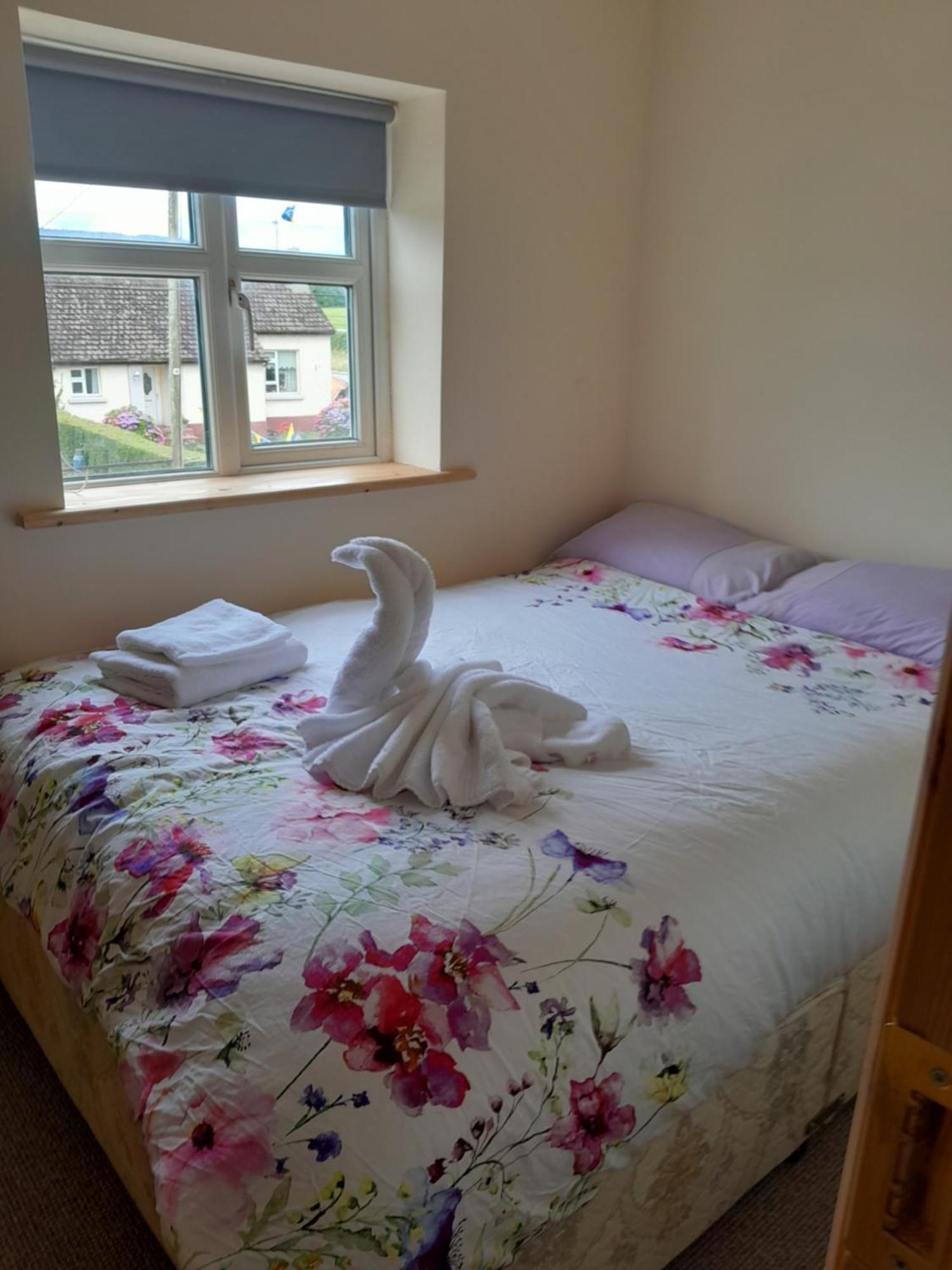 Mary'S House Apartment O'Briensbridge Luaran gambar