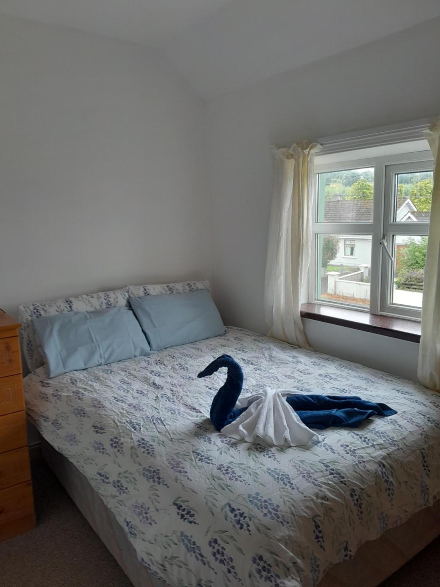 Mary'S House Apartment O'Briensbridge Luaran gambar